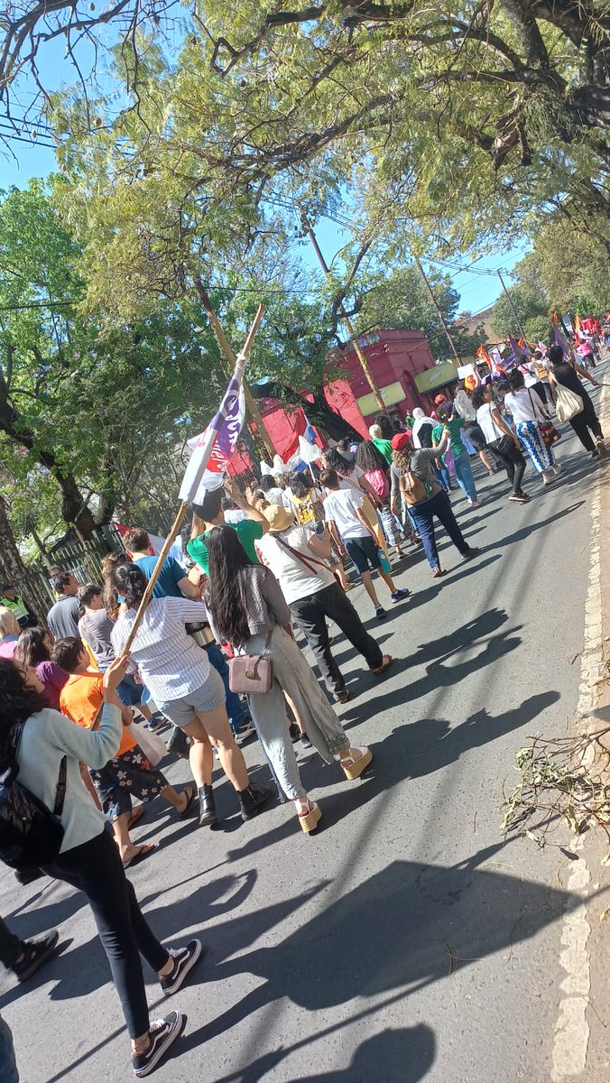 Plataforma_py tweet media