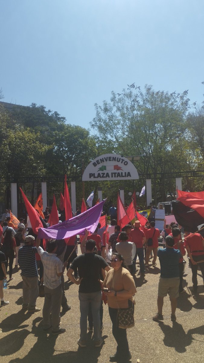 Plataforma_py tweet media