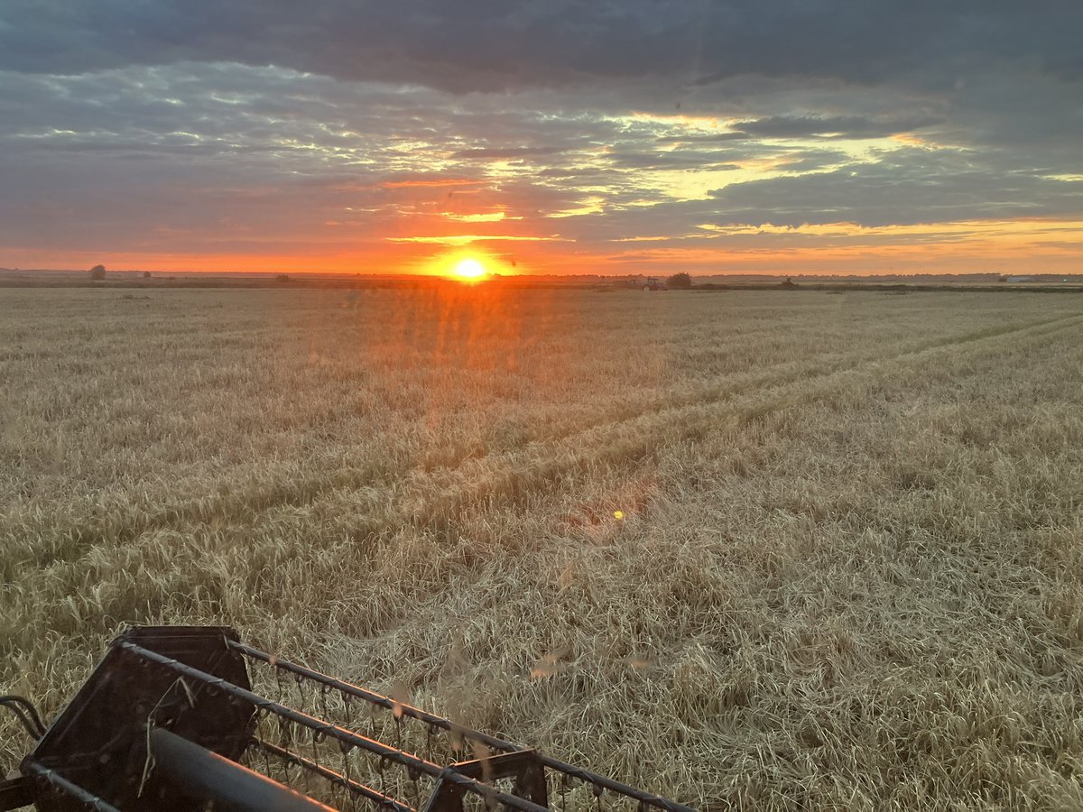 turbotechdog's tweet image. Let a very short battle commence ⚔️ #springbarley