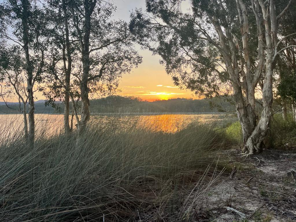 🎱 Holistic Capital tweet media