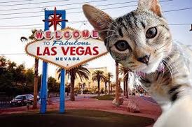 ❀sarah❀ tweet media