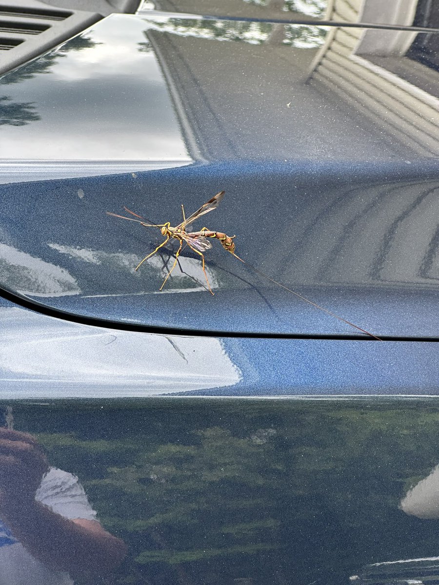 CHawsman's tweet photo. @MarkJWeather what the heck is this?? https://t.co/odRvc10eFV