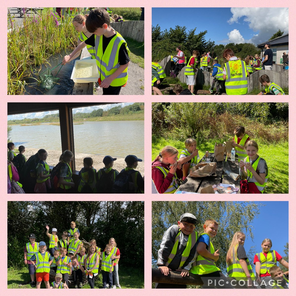 What an amazing day at <a href="/WWTLlanelli/">WWT Llanelli Wetland Centre</a> 😀 We all had so much fun Minibeast hunting, pond dipping and exploring! 🦆 #foodandfunwales <a href="/PowysCC/">Powys County Council</a> <a href="/foodandfunwales/">Food and Fun Wales</a>