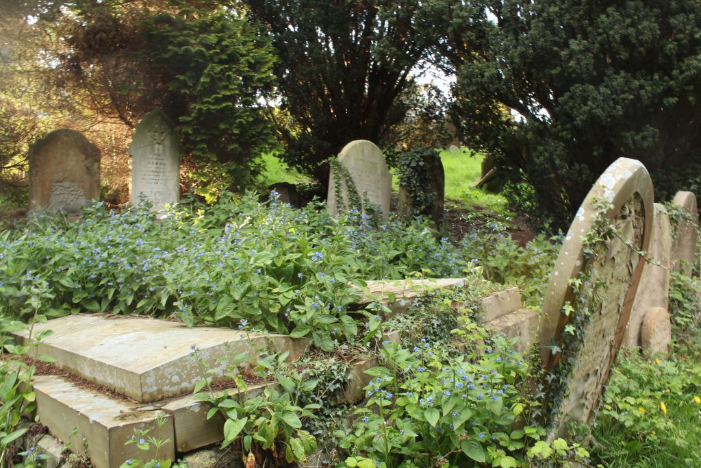 Heritage T.Wells (@twellsheritage) on Twitter photo Heritage Open Days 2023 #TunbridgeWells
Sunday 17 Sept: 11.00am <a href="/WPCemeteryTW/">WoodburyparkCemeteryTW</a>
Woodbury Park Cemetery - An introduction to a Victorian gem
Woodbury Park Road, Tunbridge Wells, Kent, TN4 9NH Heritage Open Days 2023 #TunbridgeWells
Sunday 17 Sept: 11.00am <a href="/WPCemeteryTW/">WoodburyparkCemeteryTW</a>
Woodbury Park Cemetery - An introduction to a Victorian gem
Woodbury Park Road, Tunbridge Wells, Kent, TN4 9NH