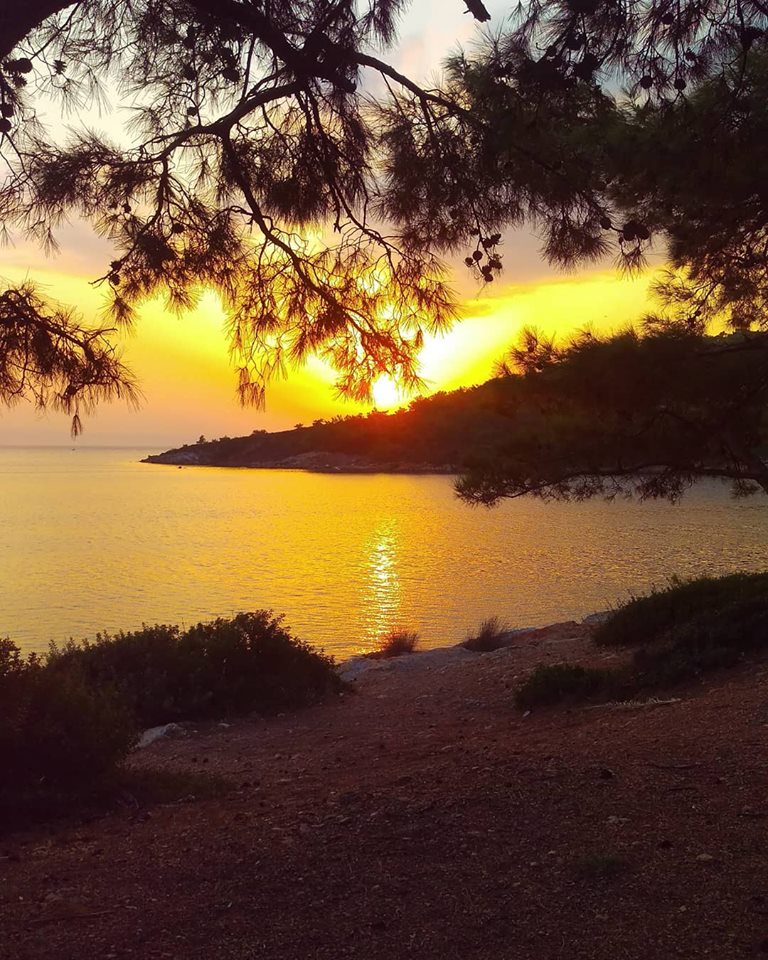 “Hassas bir kalbe sahipsen dünya seni elbette incitir.”
Dostoyevski