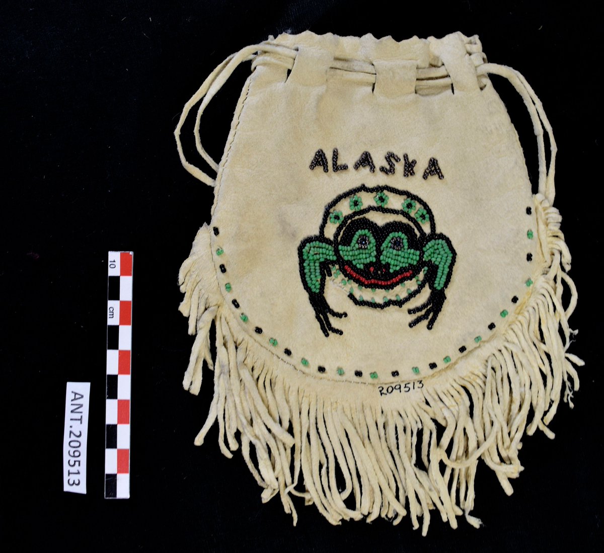 ArtHistAnimalia's tweet image. For #TextileTuesday, here's a fun find while gathering up examples of #frogs in Pacific NW Coast art for an upcoming presentation:
Fringed white leather bag w/ double drawstring closure &amp;amp; beadwork
#Tlingit, Haines, Alaska
@yalepeabody YPM ANT 209513: 
collections.peabody.yale.edu/search/Record/…