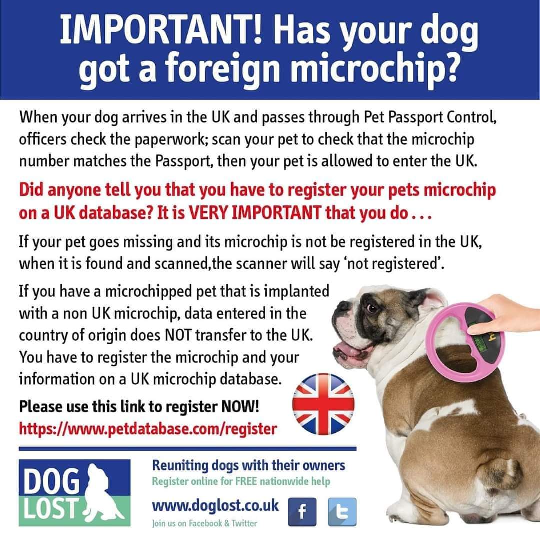 HunnyJax's tweet image. Today is UK National 
#CheckYourChip Day
In 2021, over 60% of dogs found straying, had NO MICROCHIP or 'chipped BUT Contact details OUT OF DATE = many never made it back to their families😔
Please #checkthatchip ASAP ➕  Ensure the database is 
Defra-approved eg @petdatabasecom