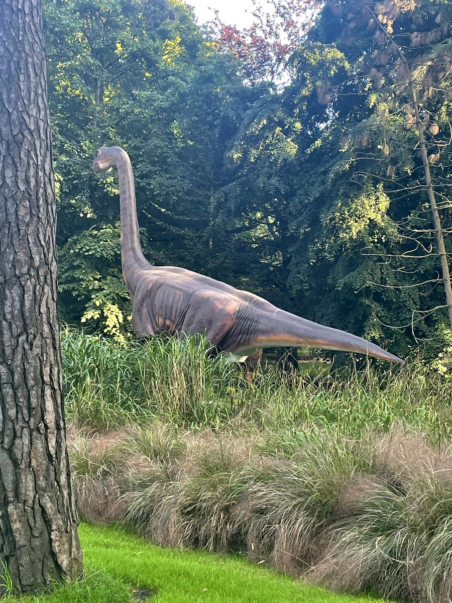 Dr Daisy Dixon tweet media