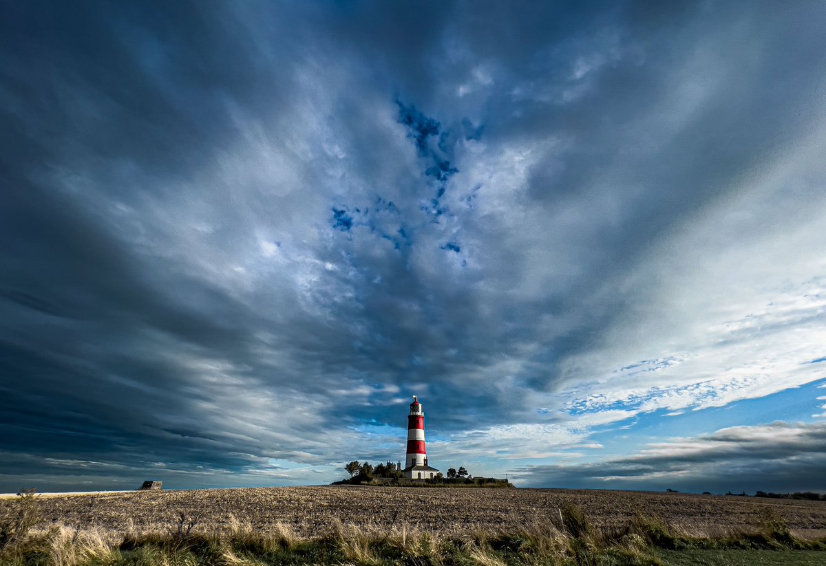 Mike Sewell tweet media