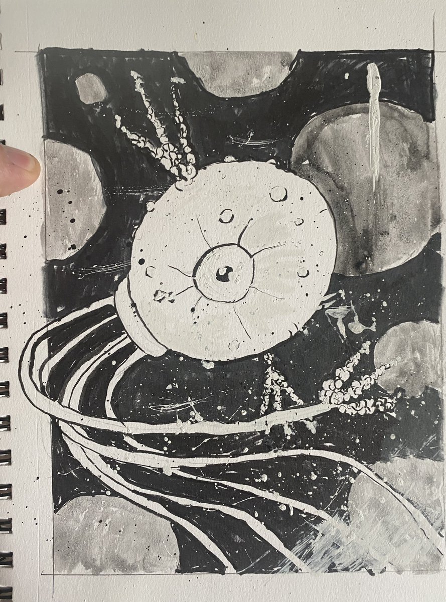 Creaturesbytim's tweet photo. Moon Jellyfish Sketch. https://t.co/kHlJmjmbpF