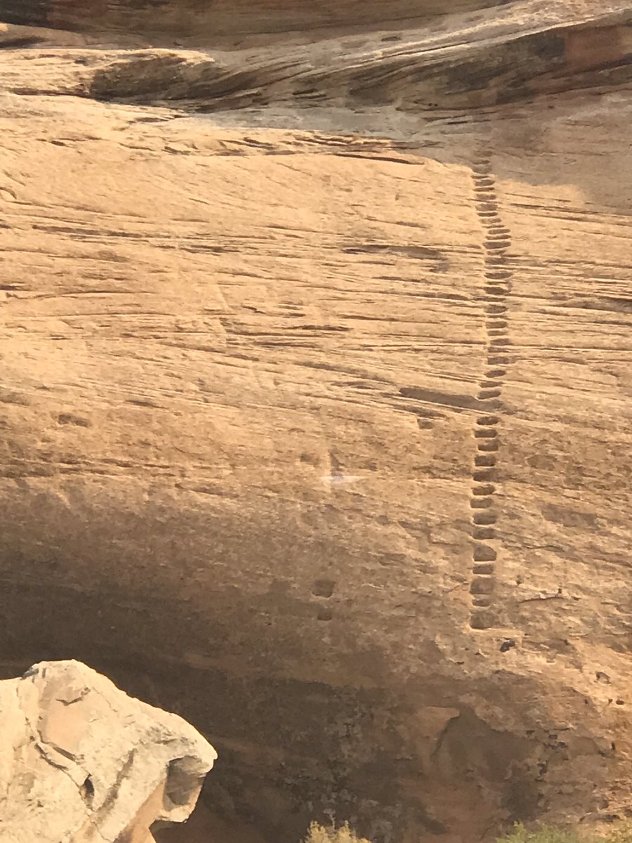 Tim Mahan tweet media