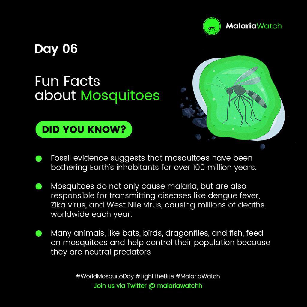 malariawatchh's tweet photo. #WorldMosquitoDay
#FightTheBite
#MalariaWatch https://t.co/nynPE3p6IG