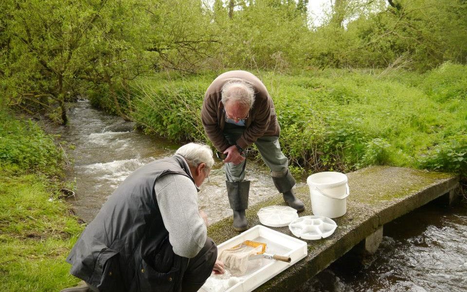 Love river dipping? Want to help us monitor water quality in the Chilterns? Join us and @HMWTBadger at the annual Riverfly Open Day this September: 📍 @BoxMoorTrust Centre, Hemel Hempstead 📆 Sunday 10th September, 12pm 👉 Register here: hertswildlifetrustevents.org.uk/10sep23-riverf…