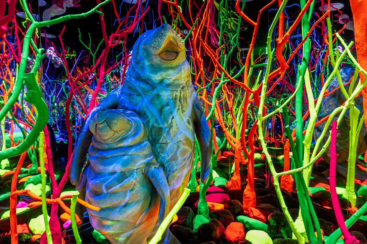 MeowWolf tweet picture