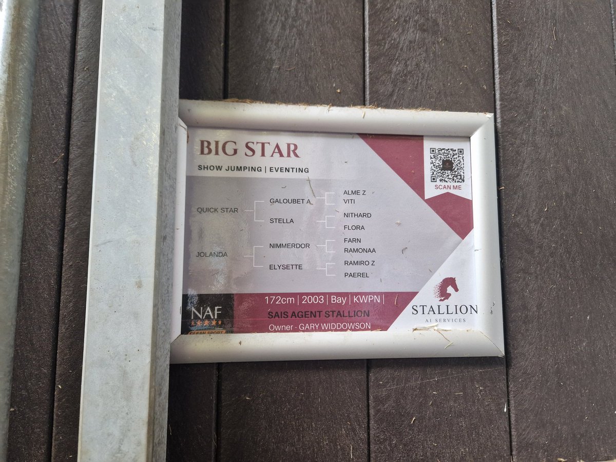 CARASEnglishPanel tweet media