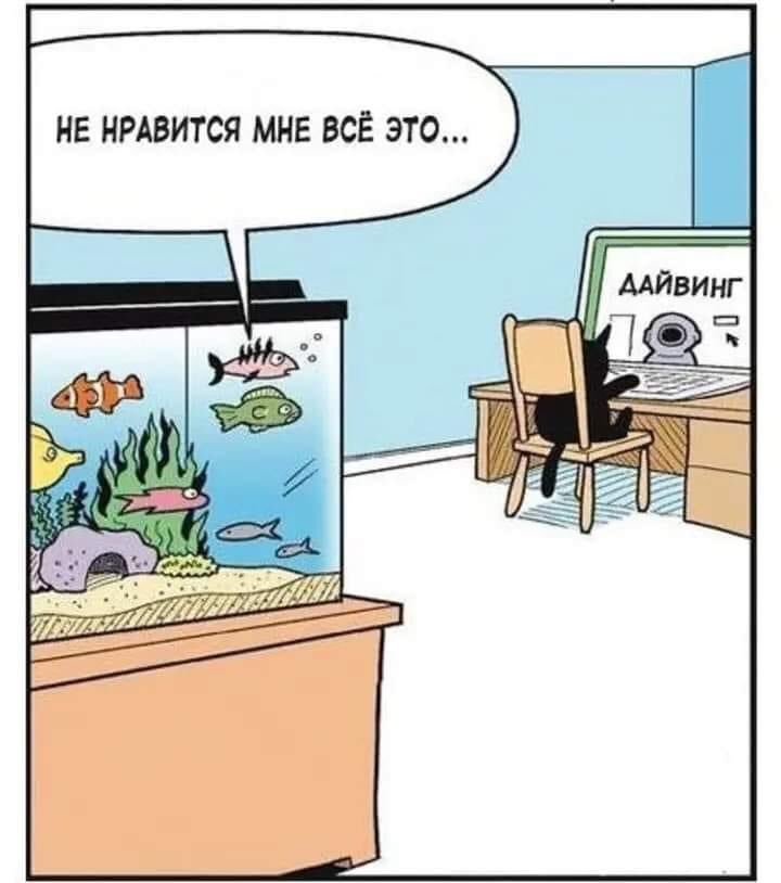 sohi1962's tweet photo. 🤣🤣 https://t.co/7BjMeBXe54