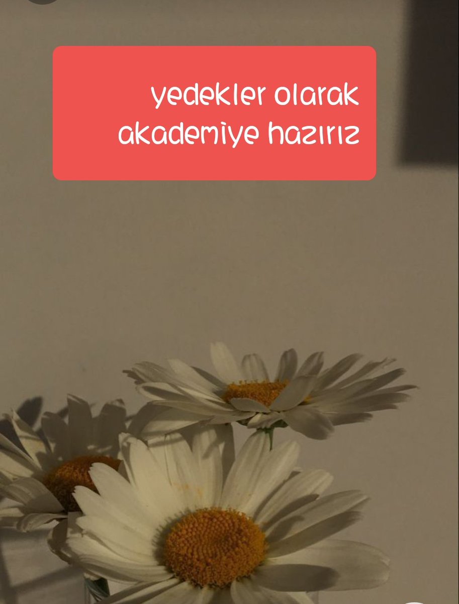 tbulgnn's tweet photo. @RTErdogan @DIBAliErbas @ErbakanFatih @dinckadir43 @IsliyenDr @ibrahimh_karsli https://t.co/vyqWWYJ3Gv