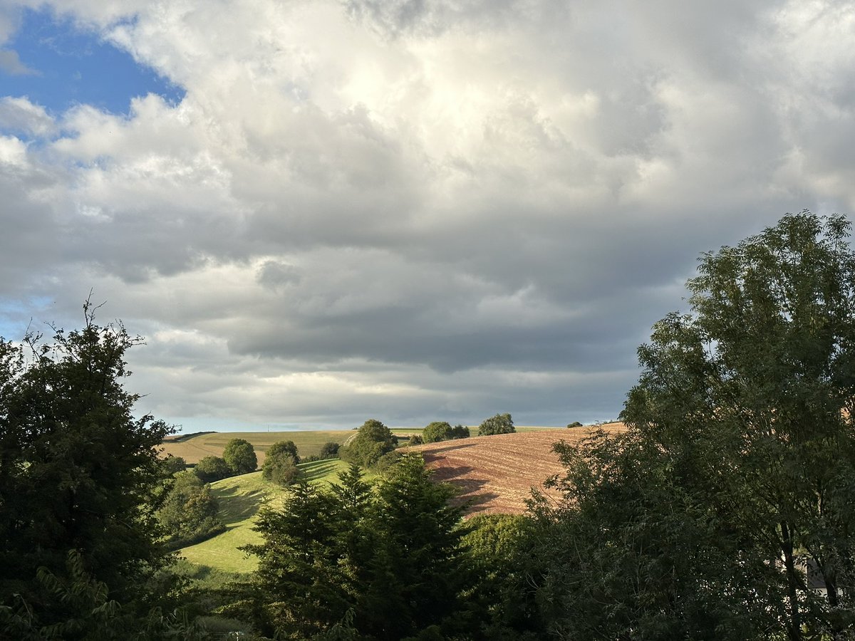 jennyrudd's tweet photo. Beautiful bucolic view from the garden this evening! https://t.co/m9kVIOyAuP