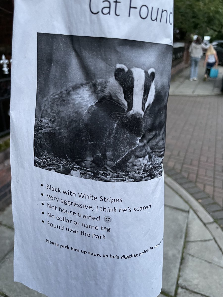 gpeng's tweet image. 