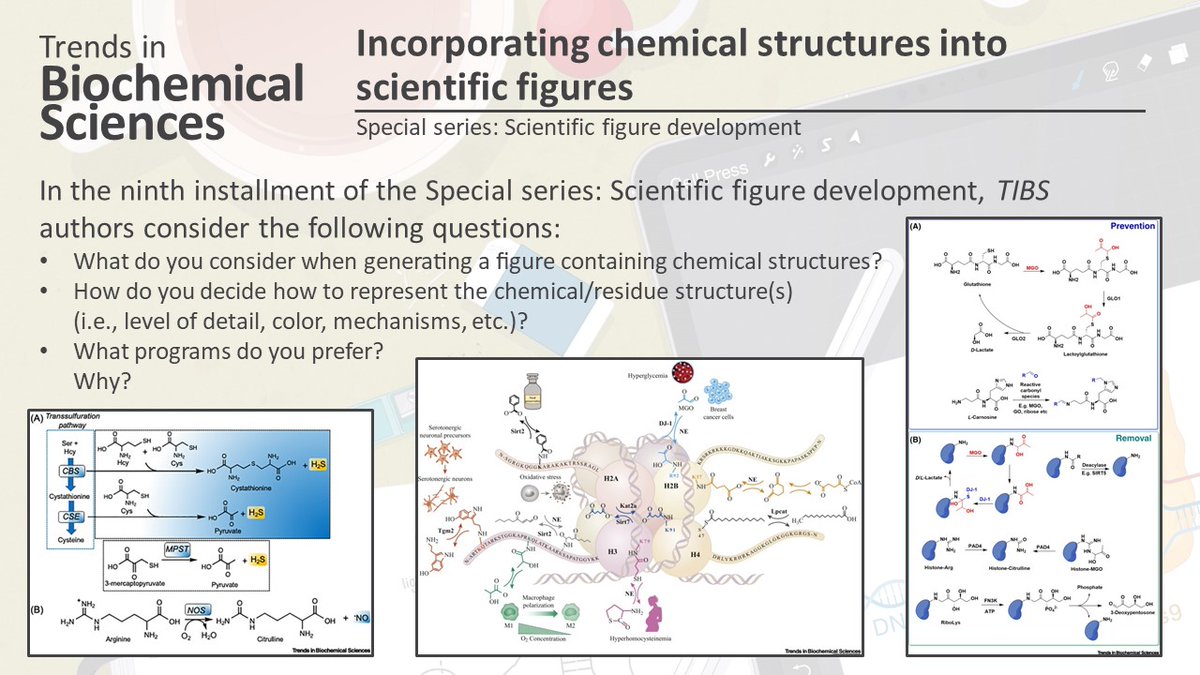 TrendsBiochem's tweet photo. 📢 And it goes on - read the tenth installment of the Special Series on #ScientificFigureDevelopment!
 
We hear from Ruma Banerjee, @David_Lab_MSK, and @chanjeneration - they share their approaches to integrating #chemicalstructures into figures.
 
https://t.co/A8w8hGu8wV https://t.co/66nWBSEM1r