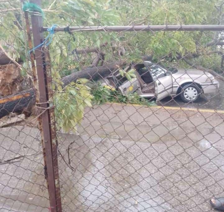 joselamus07's tweet photo. Fuertes lluvias con vientos huracanados se registraron en el estado Sucre, por el paso de la onda tropical # 30 que provocó afectaciones y caída de árboles en 14 sectores de Cumana; uno de los más afectados El Mercadito, dijo el alcalde Luis Sifuentes. https://t.co/dnQzr4S2gt