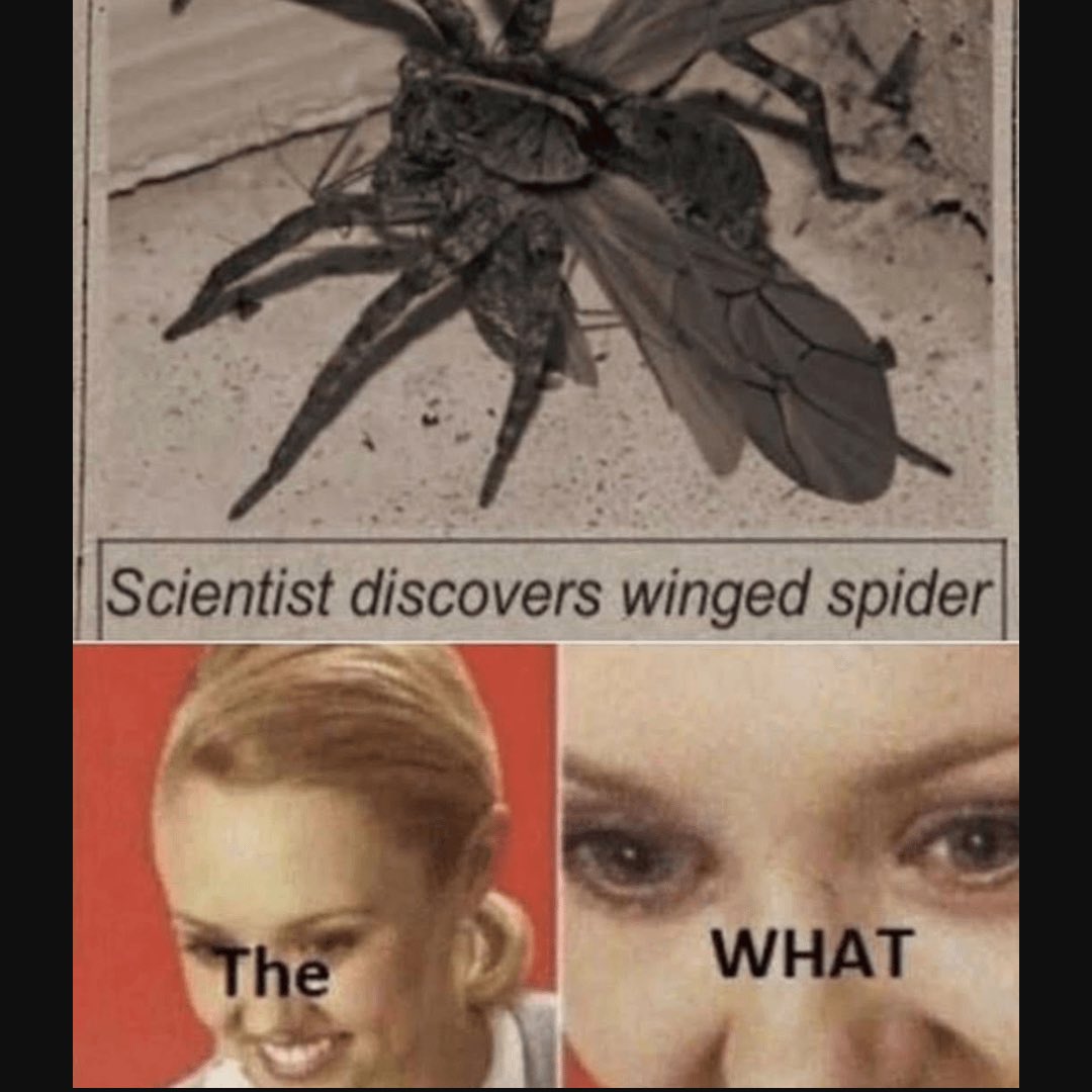 <a href="/TheBabylonBee/">The Babylon Bee</a>