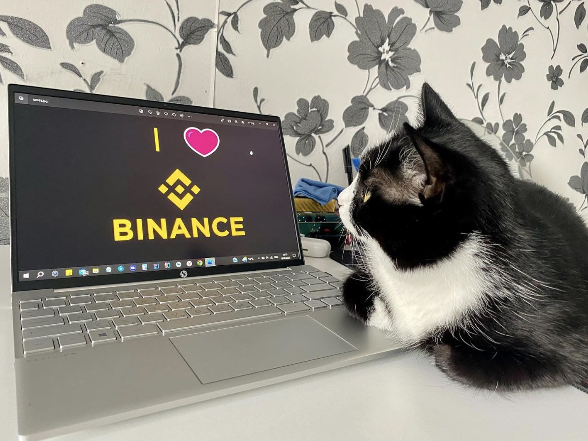 Binance tweet media