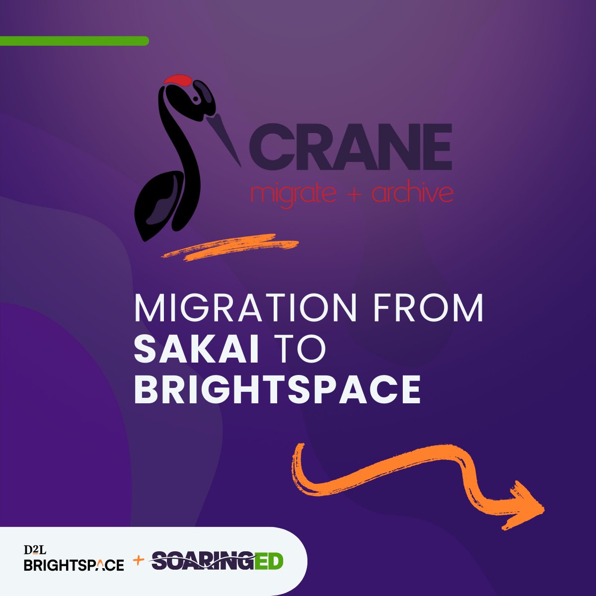 soaring_ed's tweet photo. Problem solving isnβt always easy, but with the help of our team and partners at @D2L we've successfully transitioned our client from Sakai to Brightspace! π Contact us for more info at https://t.co/bQ4rhSwEms.
#SuccessStory #CraneMigrate #Brightspace #HigherEd https://t.co/YhdvKlAa4t