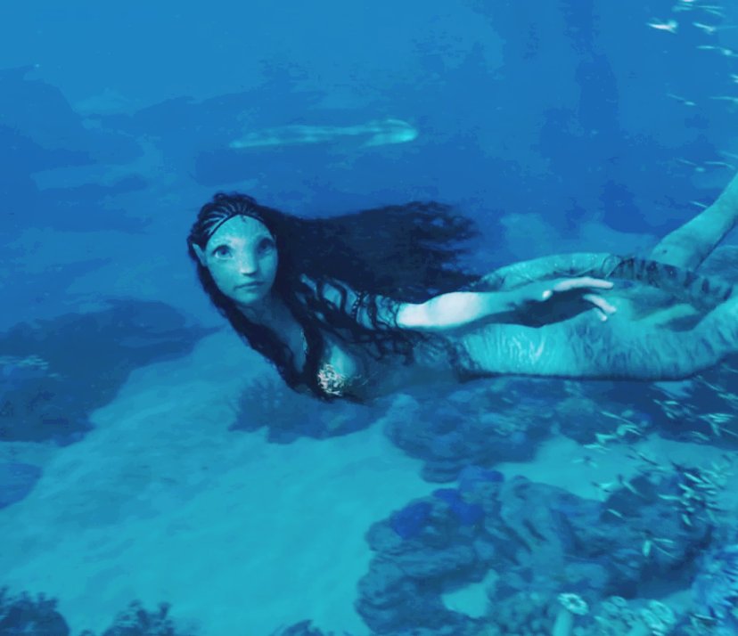 tsireyatwt's tweet photo. missing my ocean girl https://t.co/1VYqLkHoZX
