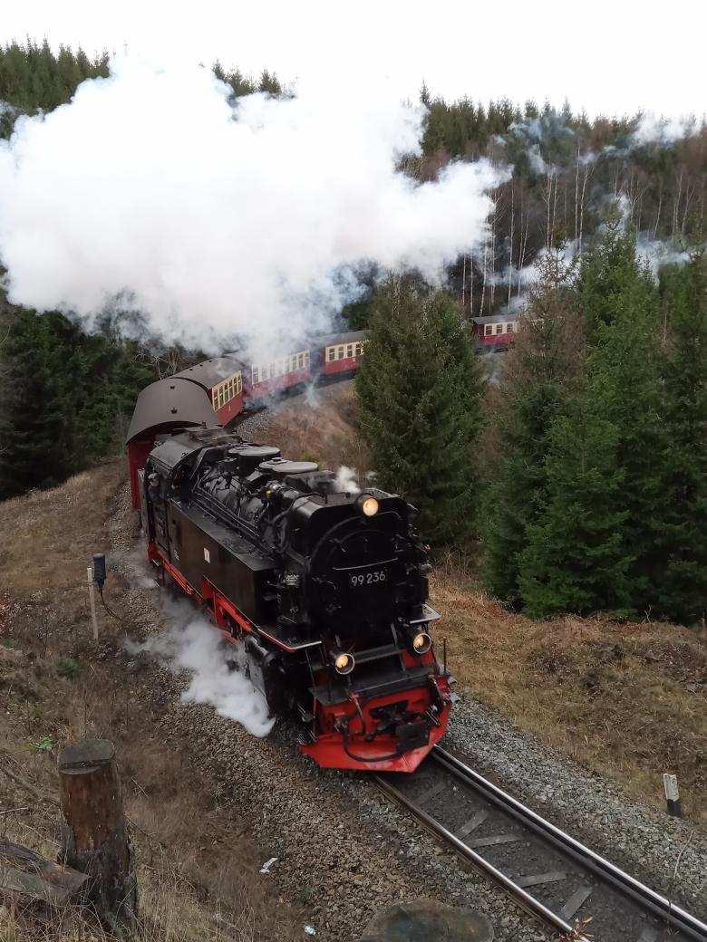 mikenarrowgauge's tweet photo. Random #narrowgauge steam train #dailyphoto from the amazing #Harz #Harzer #Schmalspurbahnen running between #Wernigerode and the #Brocken on the #Brockenbahn in #Deutschland Metre gauge power! https://t.co/BAY9gTCBEM 🇬🇧🇩🇪🇪🇺🍻👍😃
@ThePhotoHour https://t.co/8mi9KWlanl