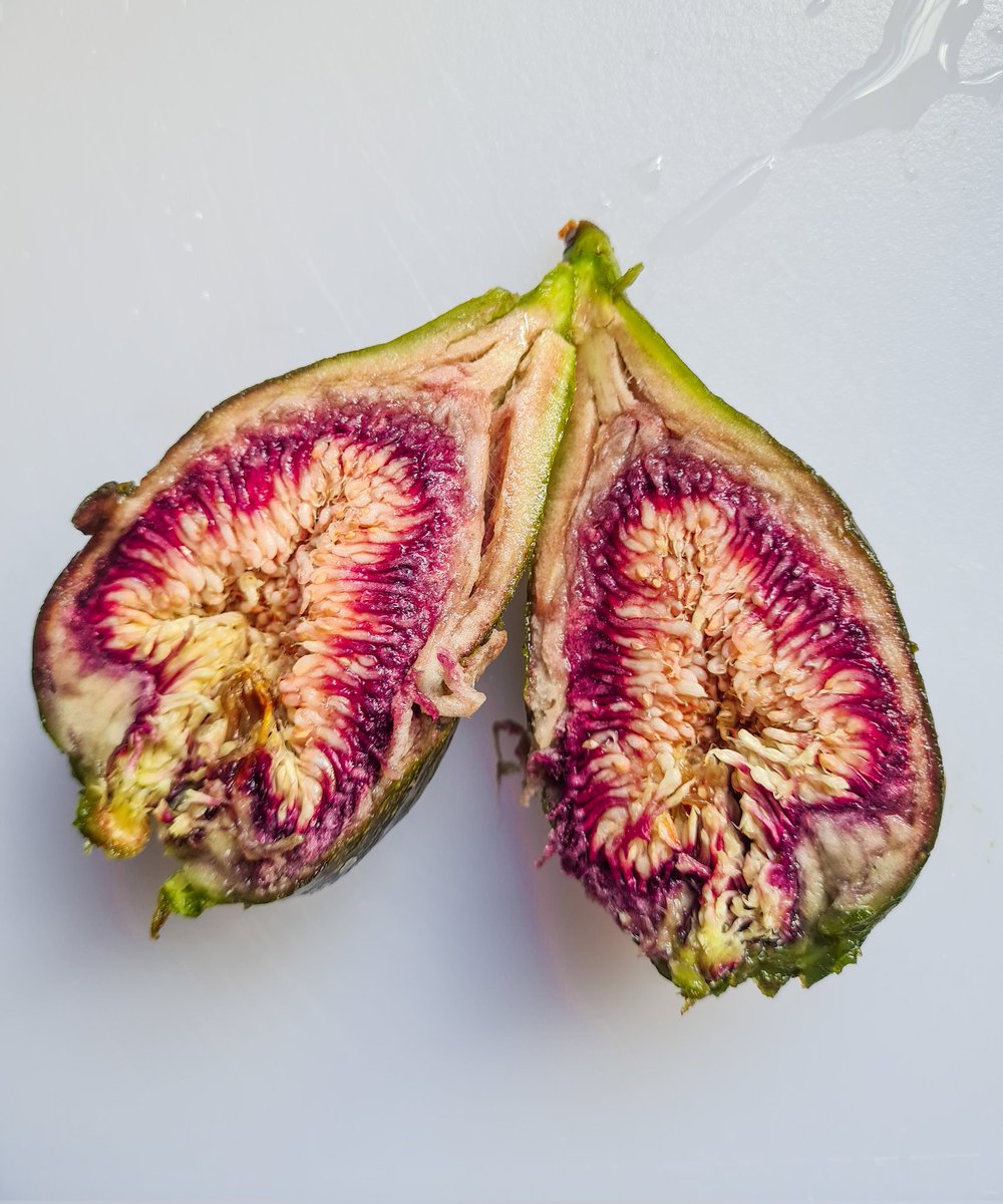 Ripe figs from our fig tree