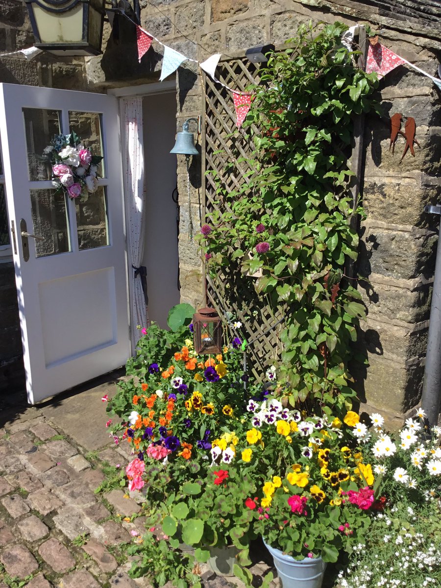 juliatetley's tweet photo. Been a lovely day. So nice to have sunshine and blue skies after so much grey, wet & dreary weather lately. My flowers grateful for some warmth at last. Enjoying some late colour in the garden. #MoorlandGarden #ChallengingWeather https://t.co/8VSJq4q52e