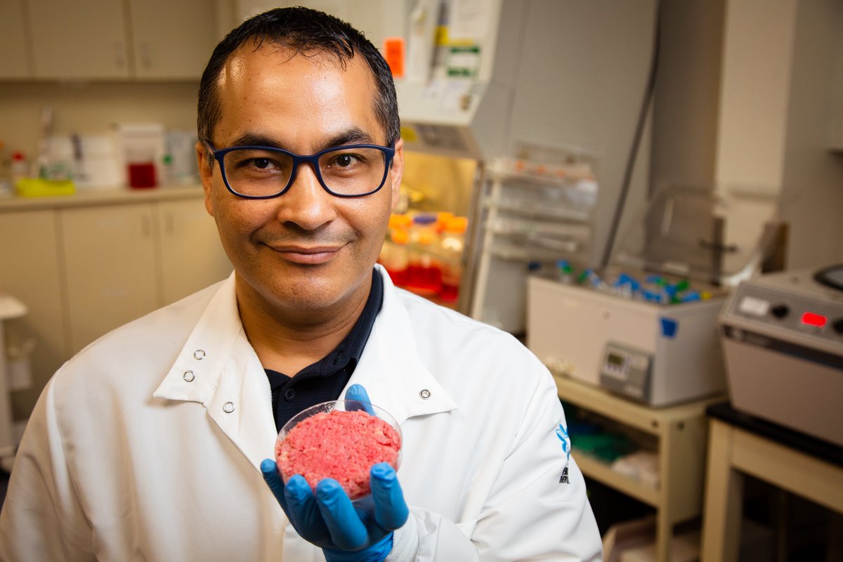 khademh's tweet photo. I am often asked how my background in tissue biology led me to be the Founder and CEO of Omeat. And although the journey has been anything but straightforward, it has been rewarding to bring my experience in academics and medical research to the pioneering cultivated meat industry. Here is how I got started:

➡️ I first got my start in tissue biology, applying bioengineering solutions to precision medicine. Over the years, I became genuinely interested in developing ‘personalized’ solutions that utilize micro- and nanoscale technologies to enable a range of therapies for organ failure, cardiovascular disease, and cancer.

➡️ By exploring this area, I developed multiple techniques for controlling the behavior of patient-derived cells to engineer artificial tissues and cell-based therapies.

➡️ As I continued to delve deeper into this space, I also started to research more about the environmental impacts that conventional beef has on our planet and society at large. As I did my concern grew.

Conventional practices to raise and process beef are linked to environmental degradation and the loss of natural resources. Large tracts of the Amazon have been felled to make room for cattle farms. Runoff from factory farms is polluting our lakes, rivers, and groundwater. In addition, the animal agriculture complex contributes an estimated 15% of global greenhouse emissions. This is on par with the entire transportation sector. I knew there needed to be a change, so here is what I did next:

✅ I soon found a correlation between the techniques my scientific team was discovering and creating for artificial tissues to what was brewing in the cultivated meat space. Through much research, we discovered an alternative that could revolutionize how lab-grown meat is grown.

✅ Through this process of personal interest and scientific inquiry, my focus shifted from tissue engineering to working on cultivated ground beef. From this, Omeat was born.

As Omeat continues to make strides as a company, we’re ready to challenge the status quo to bring much-needed change and innovation to how we produce meat. As we prepare to commercialize our innovation, I’ll be sharing more of the journey on our mission to deliver a quality and sustainable product that benefits both the climate and consumers.