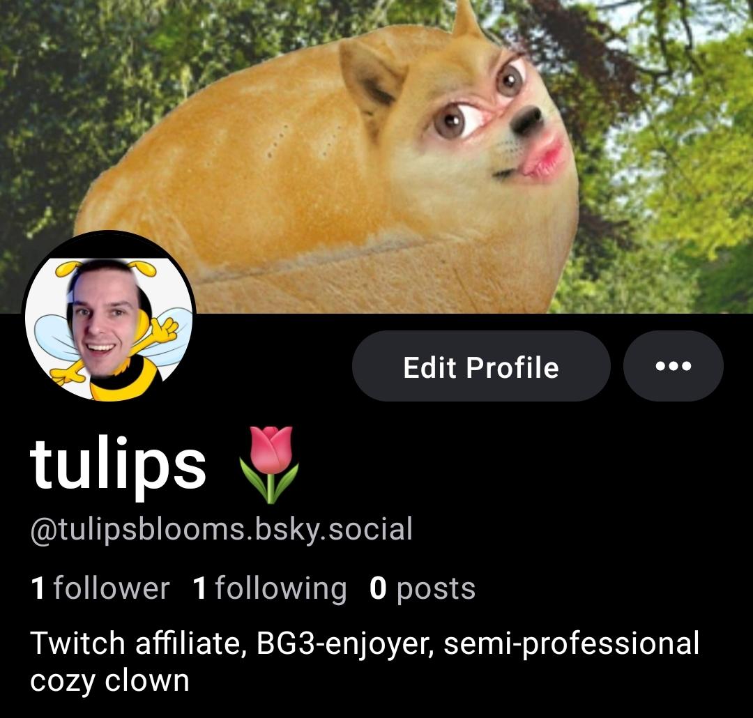 tulipsbloomsttv's tweet photo. The dawn of a new era is finally here AHHHHHH #sliv https://t.co/5K00mHWtgF