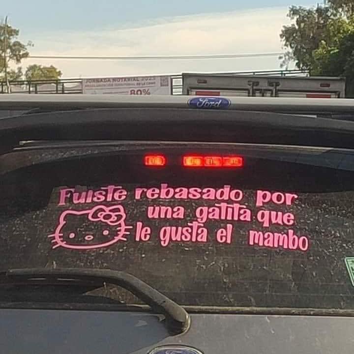 cuando me saque el carnet no diré nada pero habrá señales