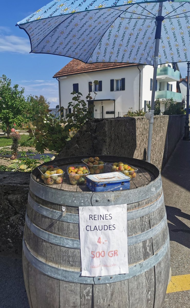 Badalssim's tweet photo. Reines claudes sur un bord de route suisse #CommercePop https://t.co/IsB0sMr68I
