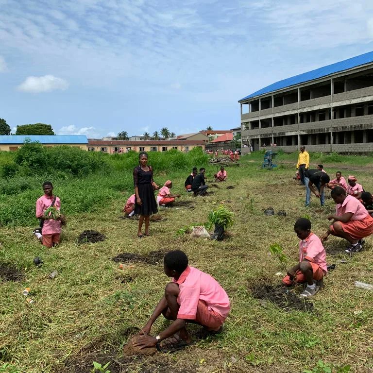 SamuelCOkorie's tweet photo. It was my pleasure to lead the Lagos District Five on Urban Tree planting and Climate Education project for @TreeRevivalTeam which was aimed at promoting tree planting and sustainability as an urgent practical response to climate change crises.
#plantatree
#Climatecrusader https://t.co/x1zrzgyY1Q