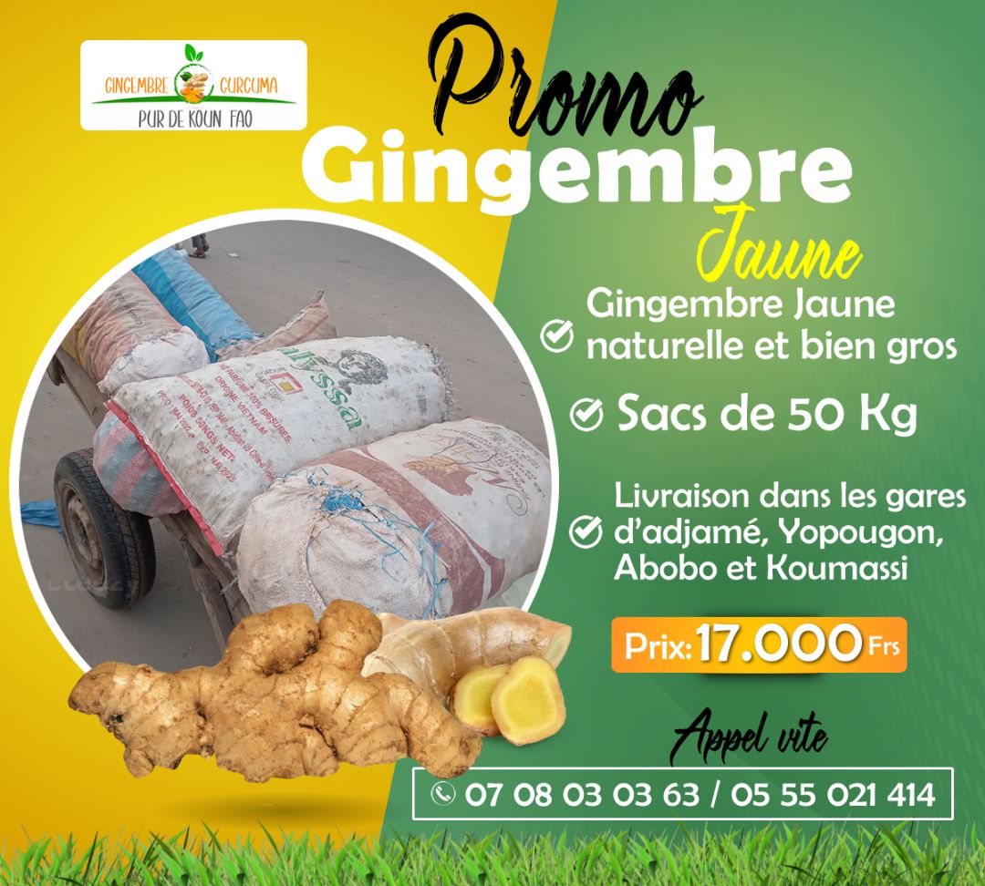 idaynews's tweet photo. Le sac de Gingembre et de Curcuma est au prix de 17.000 Frs CFA, le sac de 50 kg. C'est une occasion à saisir. +225 0708030363 / 0103390319 #Abidjan #CIV225 #cotedivoire #gingembreci https://t.co/SBehByoZHQ