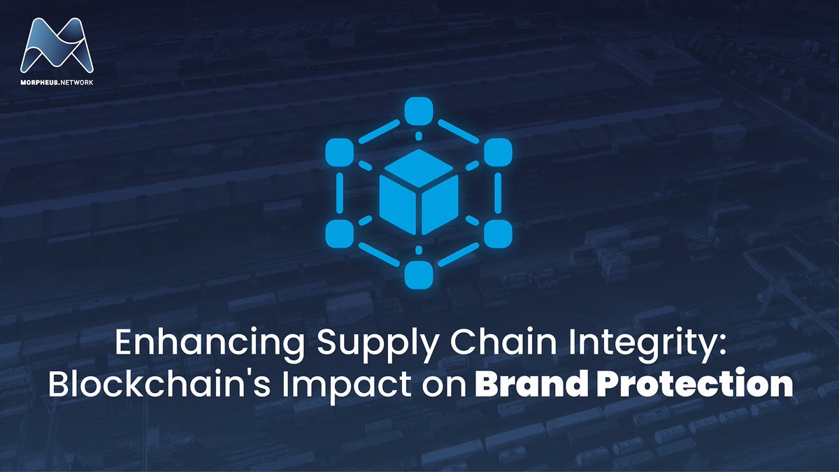 Morpheus.Network tweet media