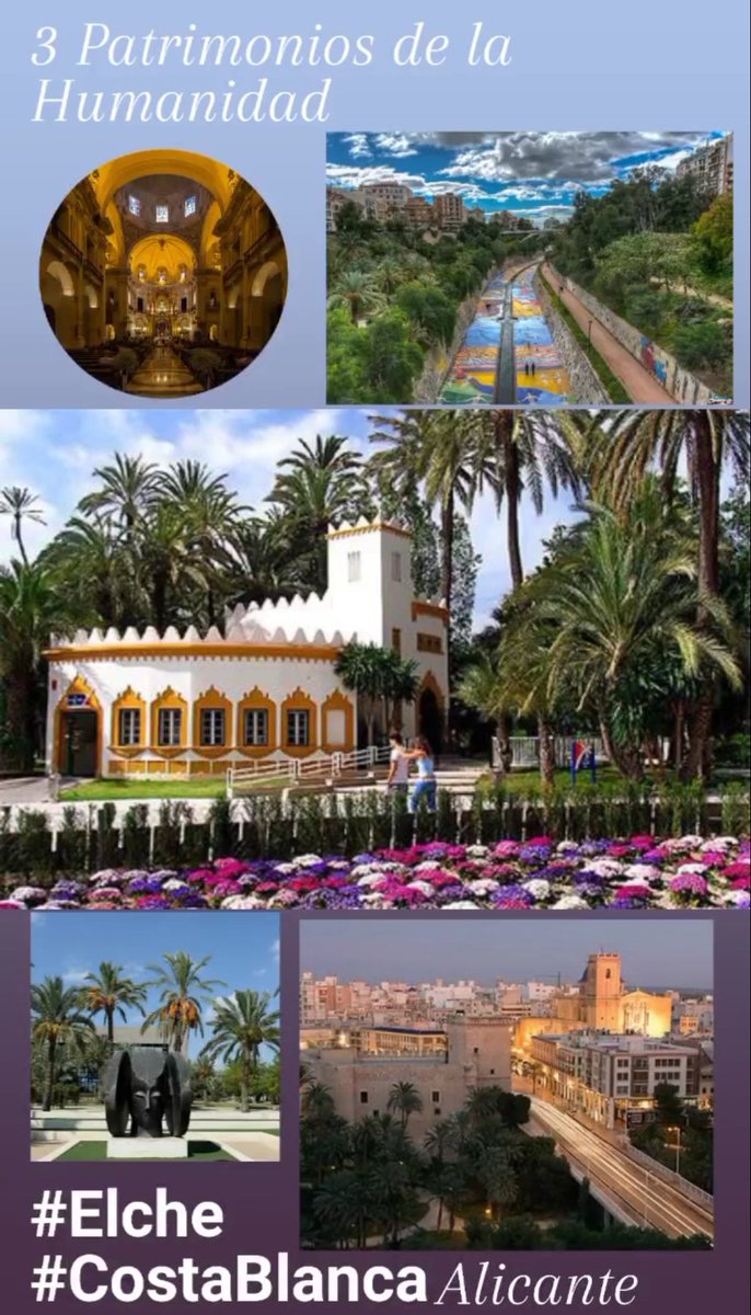 6c27a08e61744ae's tweet photo. #Elche 🌴 🌴 🌴 #Elx #oasismediterráneo 3 Patrimonios de la Humanidad y mucho más...
#misteridelx #palmeraldeelche #projectepuçol Parajes naturales y playas protegidos #elhondoelx #clotdegalvany #pantanodeelche #arenalesdelsol #laltet #lamarina #carabassi
https://t.co/7ZMYg4OORR https://t.co/JDTBkZP2Qj