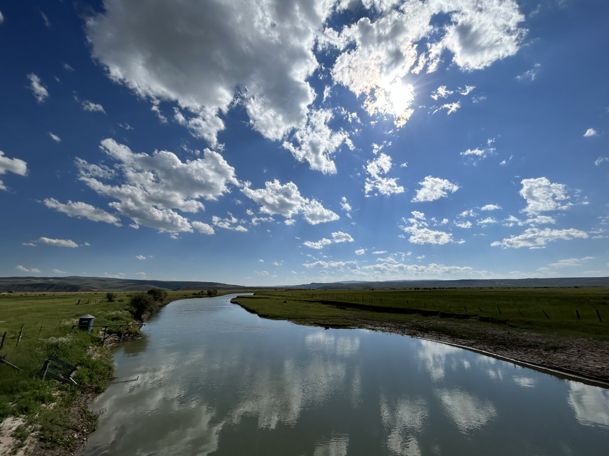 Rachel So tweet media