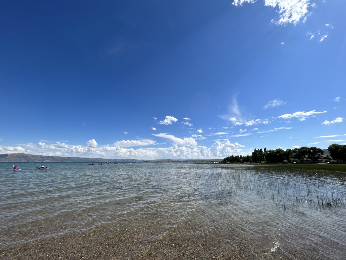 Rachel So tweet media