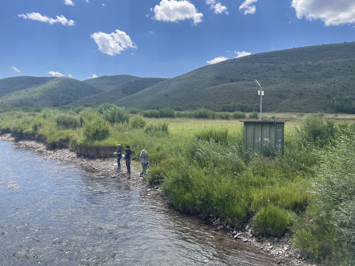 Rachel So tweet media