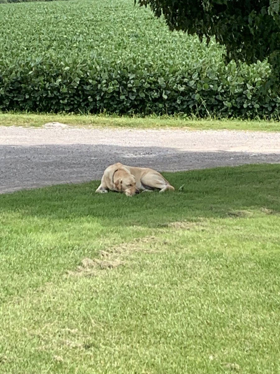 Somebody knows how to relax on holidays