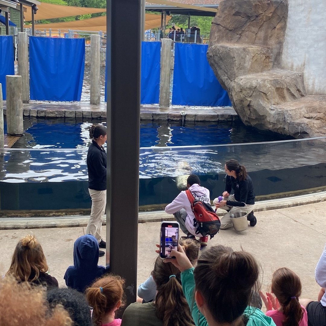 BGCCentralOhio's tweet photo. Our members had an incredible time at the @ColumbusZoo! π
We can't say with confidence that we would be as brave as our members when touching the animals, but wow, they seemed to love it! π’
What is your favorite animal to see at the Columbus Zoo?ππ¦π¦₯π¦
#futurezoologists https://t.co/LL0xfwXiMi