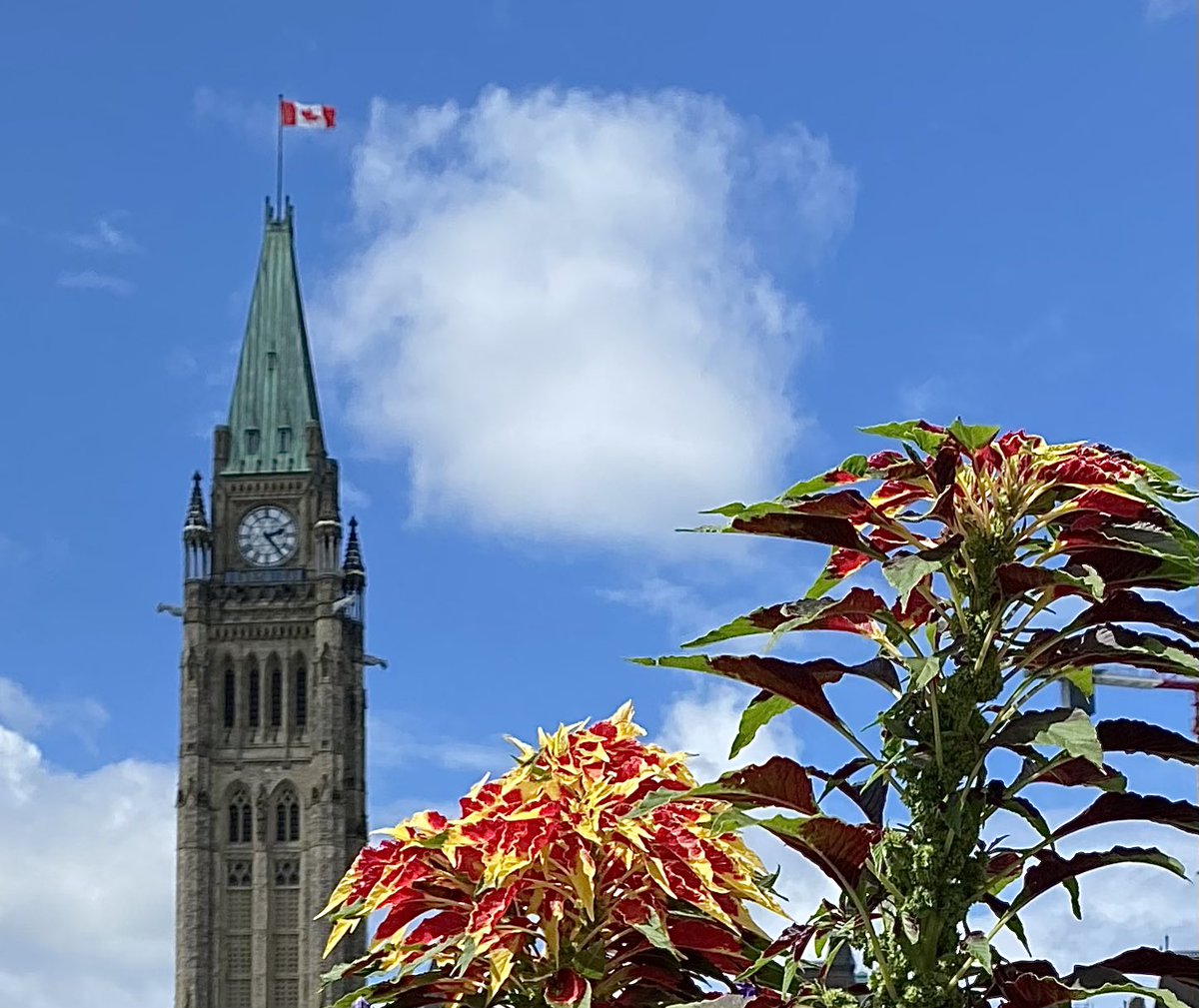misterpete's tweet photo. #ottawa #Canada 🚴‍♂️🍁☀️ https://t.co/2EFACWYDGH