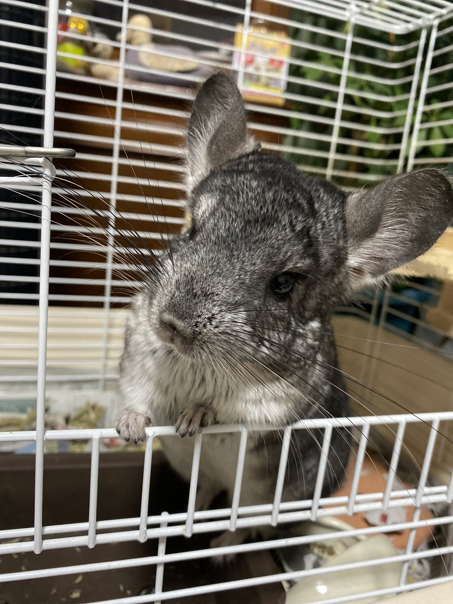 eichan0519's tweet photo. おはようございます🙋‍♂️
今日からお盆休み明けで更に朝も通常出勤 (8時)に戻って朝もゆっくりになったので頑張ります💪 https://t.co/b0VzCGicSz