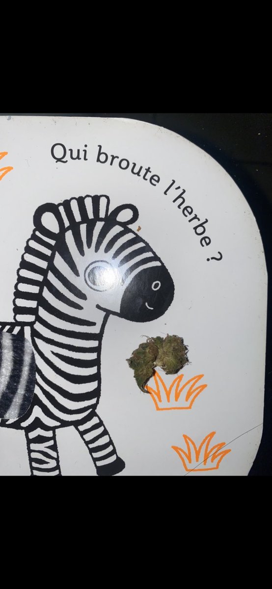 Albatros_Malko's tweet photo. #Cannabis #Weed #TeamTHC
#HashTag #Résine #GreenHouse
🥦👌😮💨💨😶🌫️👍 https://t.co/w885D0vKaG