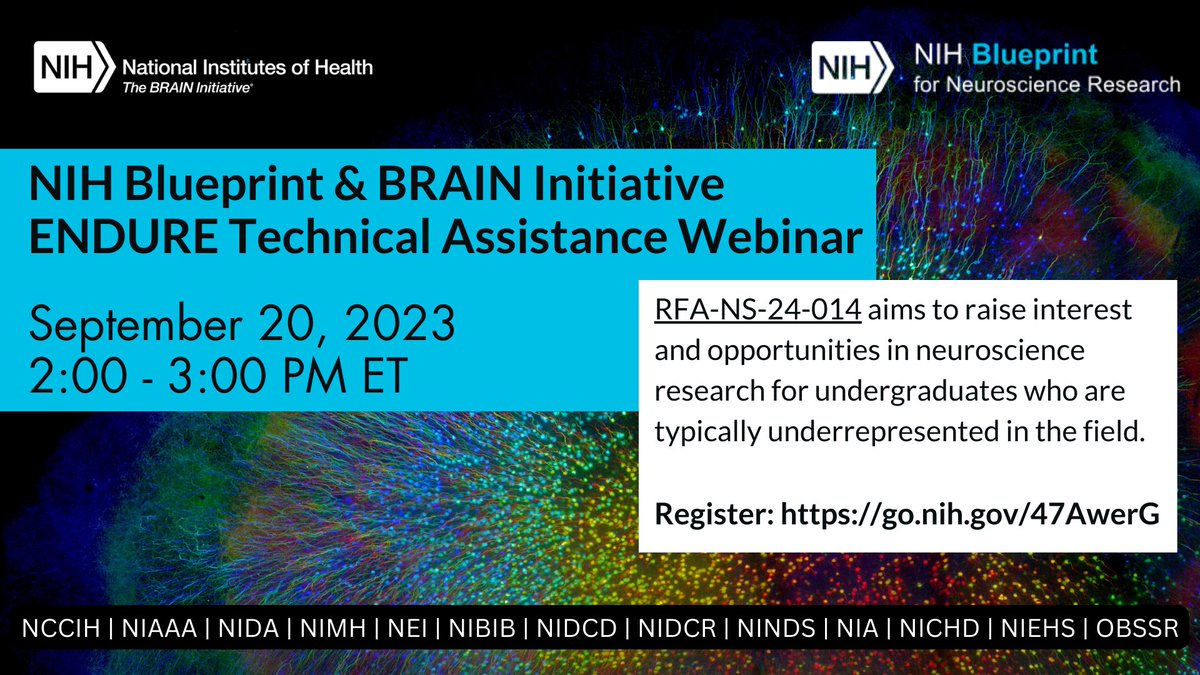 Register now! NIH Blueprint & BRAIN Initiative ENDURE Technical Assistance Webinar RFA-NS-24-014 (grants.nih.gov/grants/guide/r…) aims to raise interest in neuro research for underrepresented undergraduates. September 20, 2023 2:00 - 3:00 PM ET Register: go.nih.gov/47AwerG