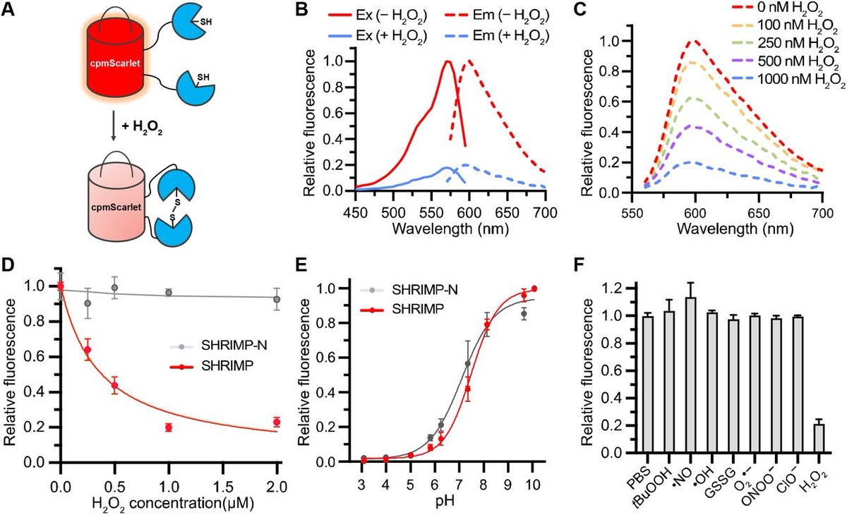 Joachim Goedhart tweet media